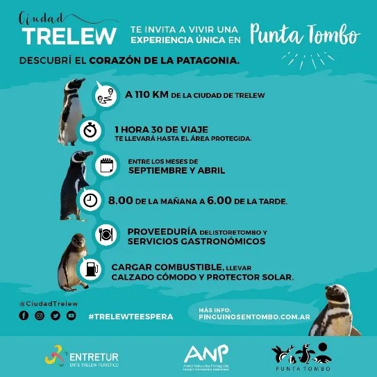 410c2c3f-0548-4071-95d9-ec7b4cd58284