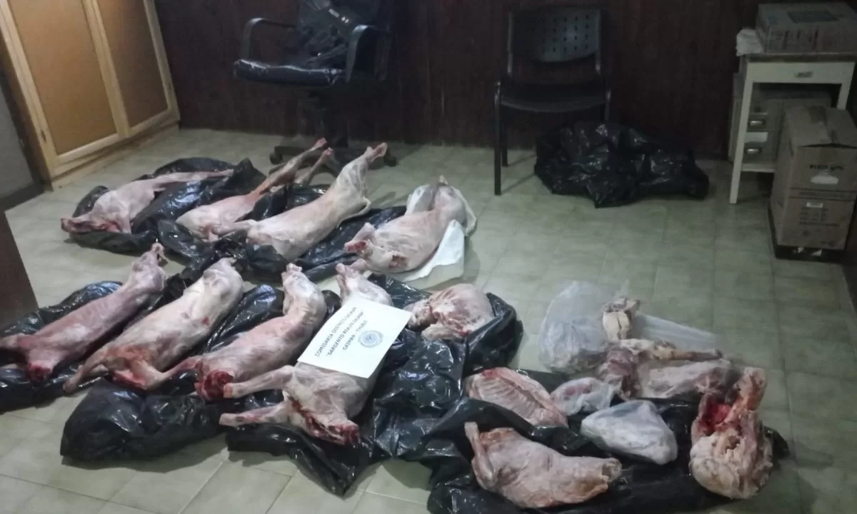 20231203_140124_0000-jpg