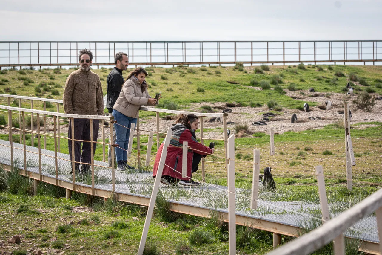 fe388af5-1cf7-417c-a4b6-63c1e928d1ce