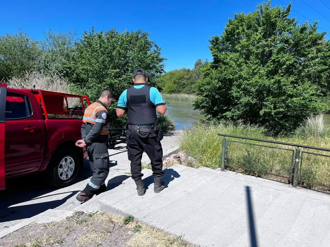 WhatsApp Image 2023-11-24 at 16.10.20