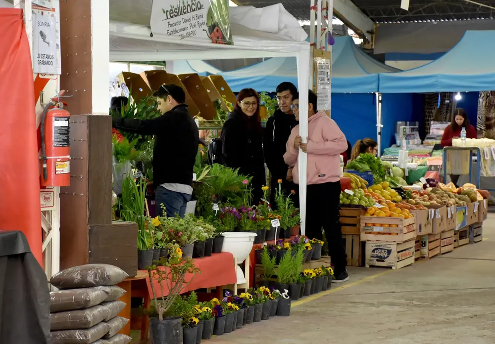 WhatsApp Image 2023-09-11 at 12.14.40