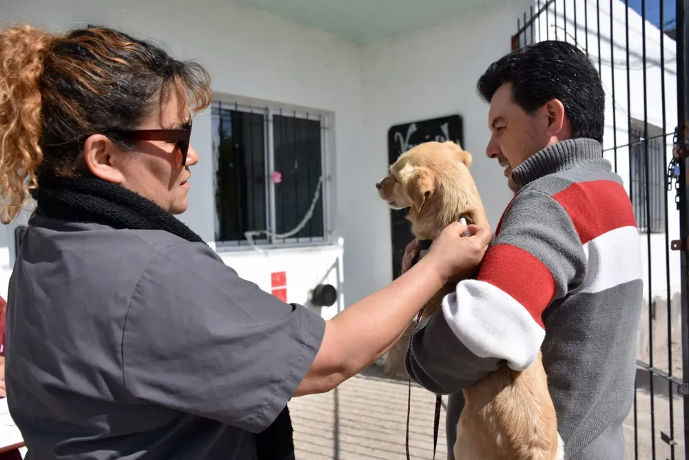 WhatsApp Image 2023-10-25 at 11.20.55