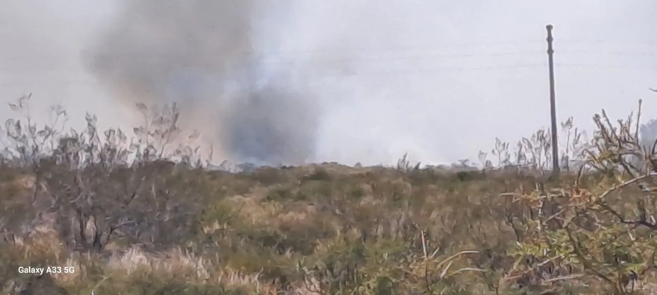 WhatsApp Image 2023-11-14 at 15.31.56