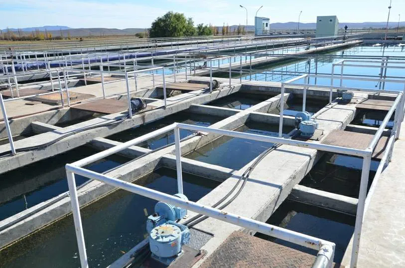 Cortan El Agua De Toda La Ciudad Por La Turbiedad Del Lago Musters