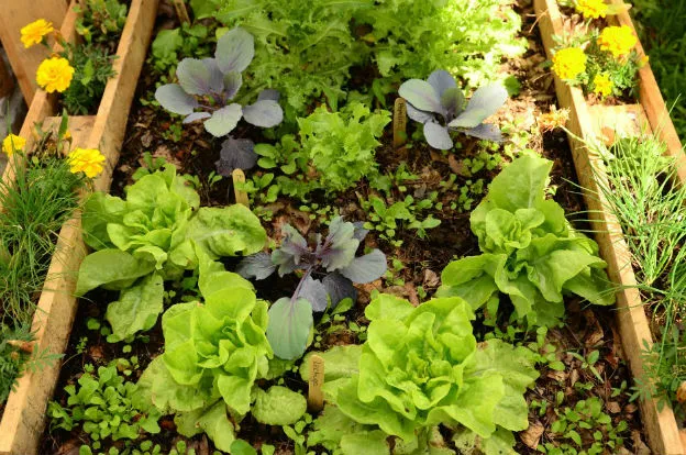 653722fe-6da5-4847-833d-890b3d60f1ed