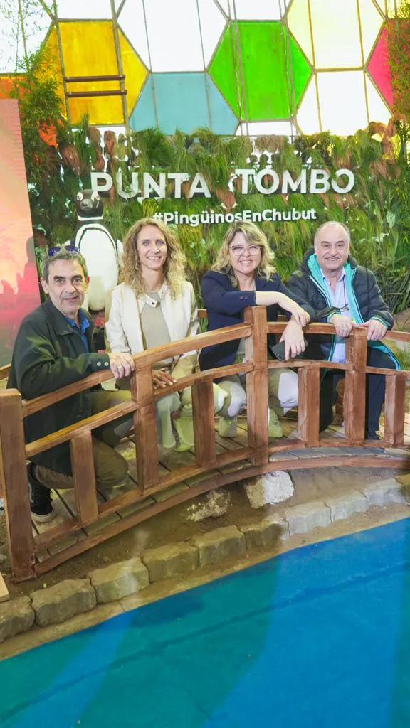 WhatsApp Image 2023-10-03 at 13.41.47