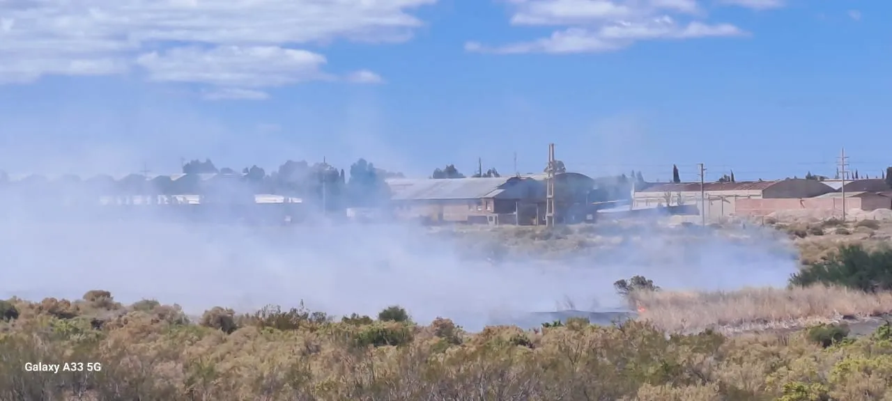 WhatsApp Image 2023-11-14 at 15.31.55