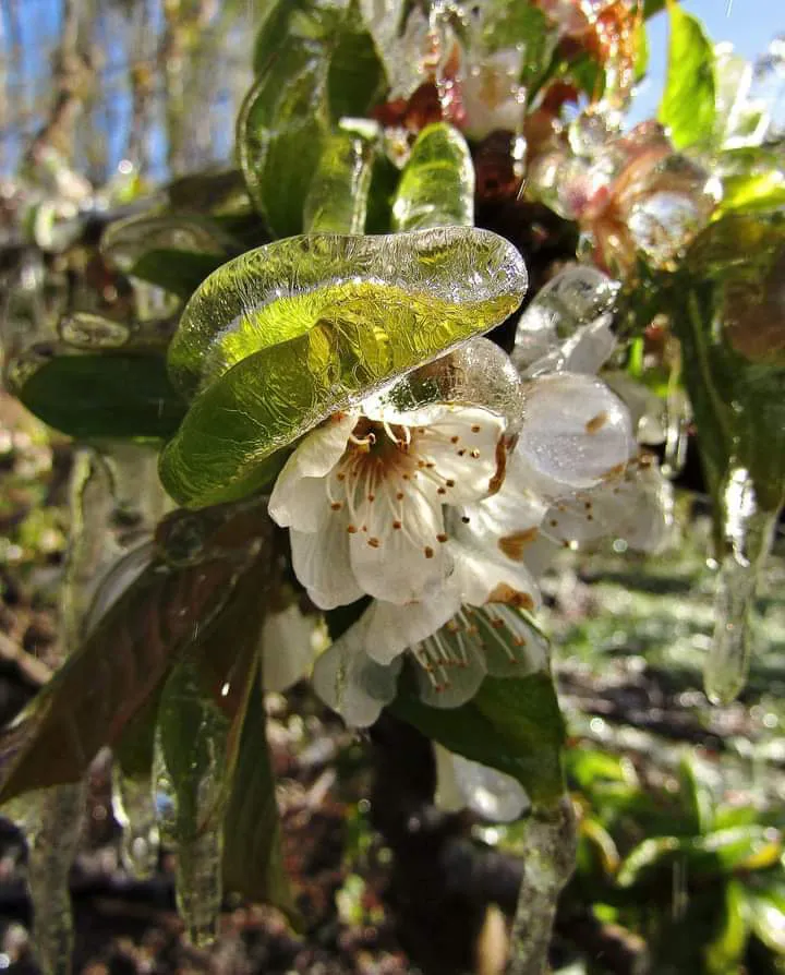 WhatsApp Image 2023-09-30 at 01.00.20 (1)