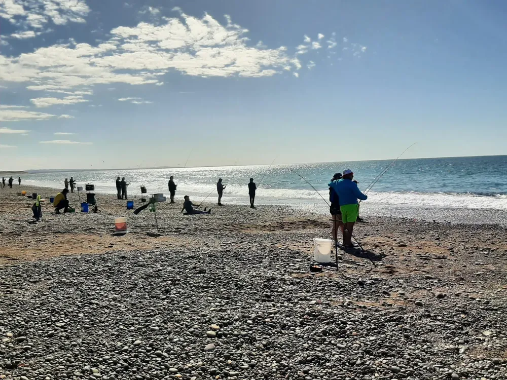 57c92352-e391-4751-a3d2-ce0f65c0b381