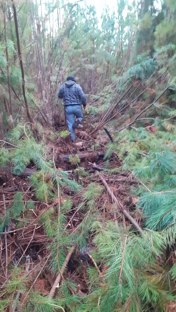 Reserva Provincial Lago Epuyen