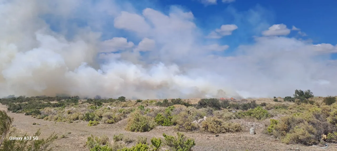 WhatsApp Image 2023-11-14 at 15.31.54 (1)