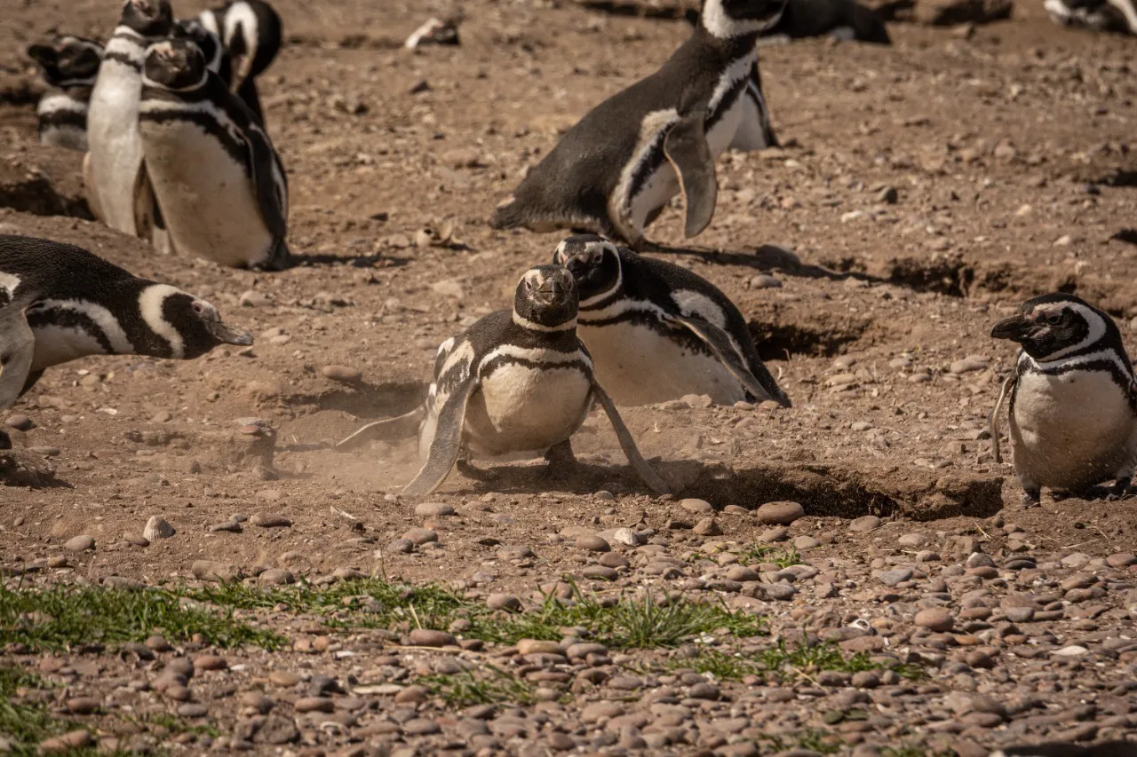 b6a72bda-327f-40f2-8717-851c67cb0183