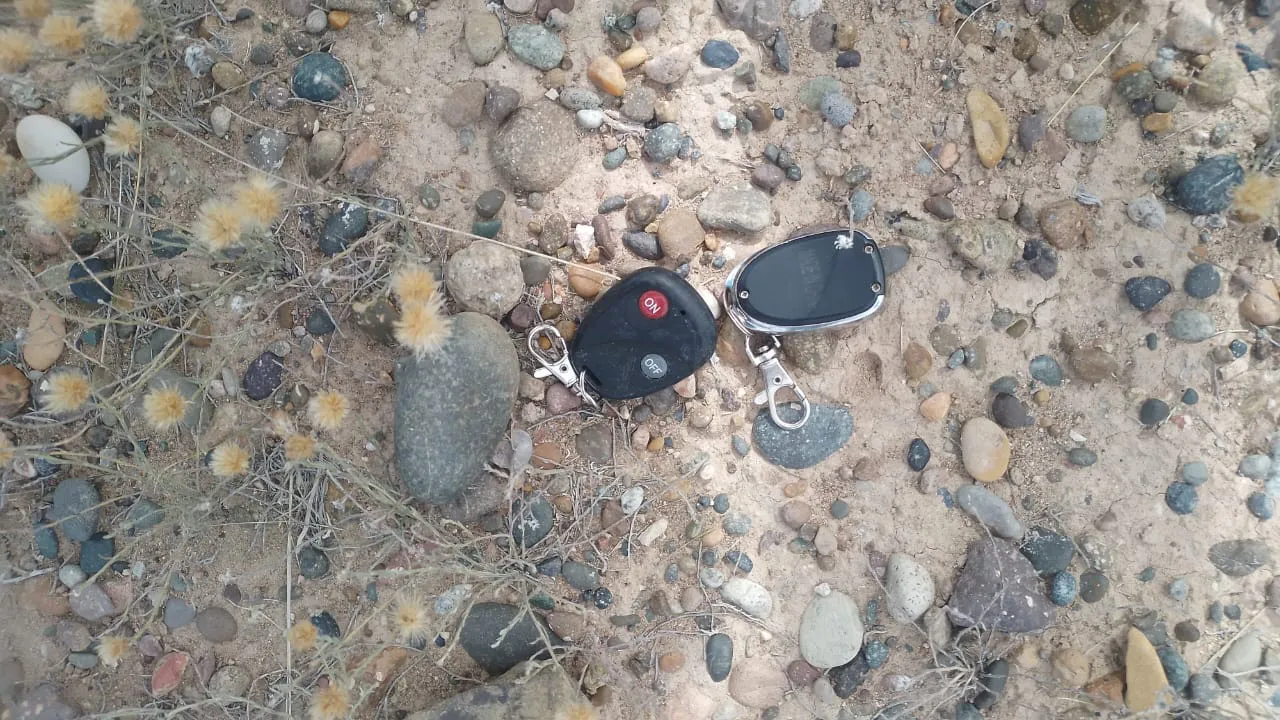 WhatsApp Image 2023-12-03 at 14.17.29 (1)