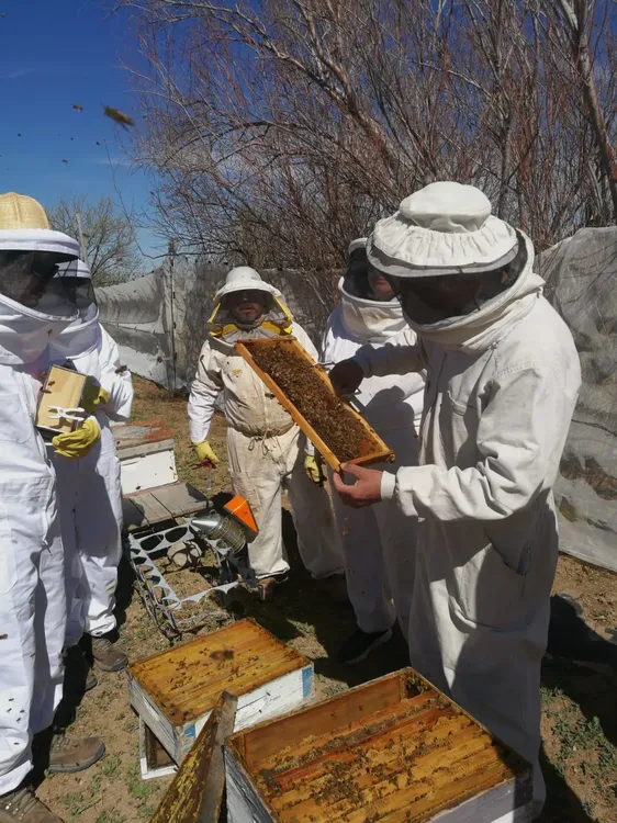 2c65c499-83db-4b45-a5b9-c8c4c789f98f