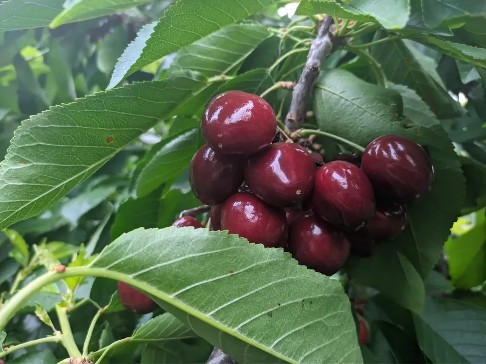 c8fd132b-56bc-477c-a8a3-6e665b5eb82d