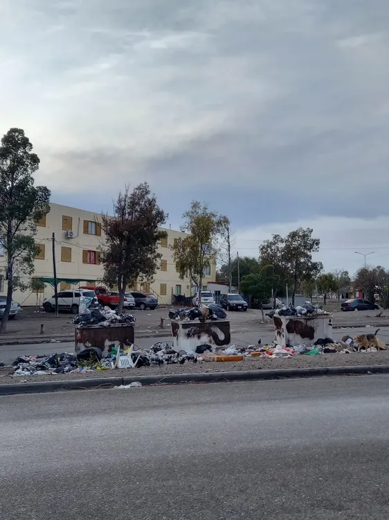 WhatsApp Image 2023-09-07 at 08.41.06