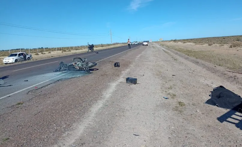 WhatsApp Image 2023-11-09 at 17.53.29