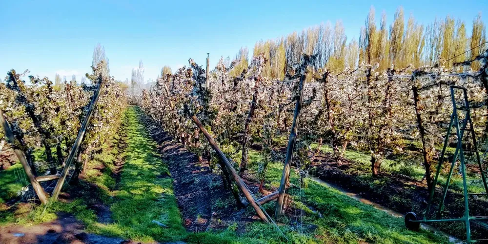 b3633334-e12c-476d-b442-5ecb21c4cc43