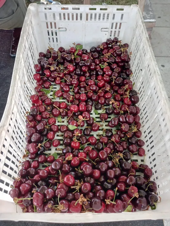 Cerezas del Valle Cerezas del Valle