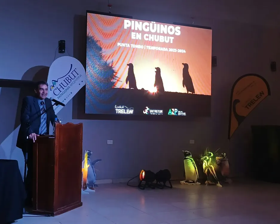Apertura temporada de pingüinos en Punta Tombo 2023