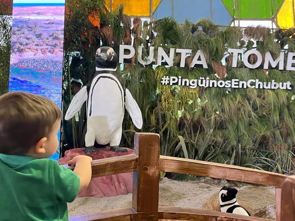 WhatsApp Image 2023-10-03 at 13.41.30