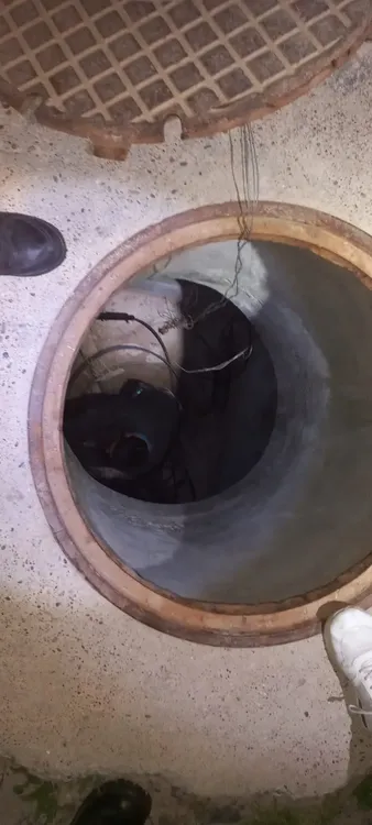 WhatsApp Image 2023-11-08 at 07.08.13