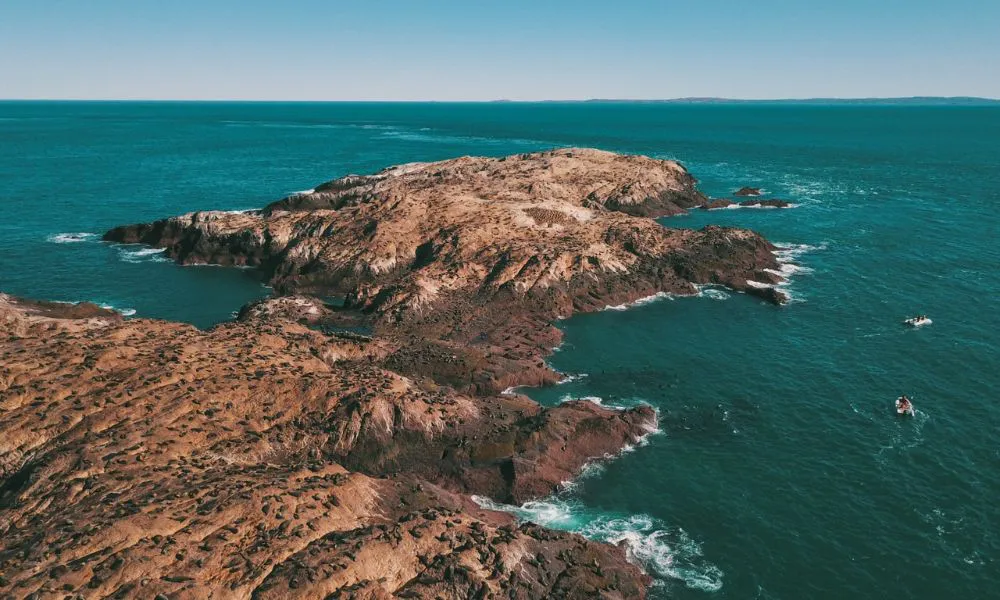 Conservación marino-costera entre Chile y Chubut