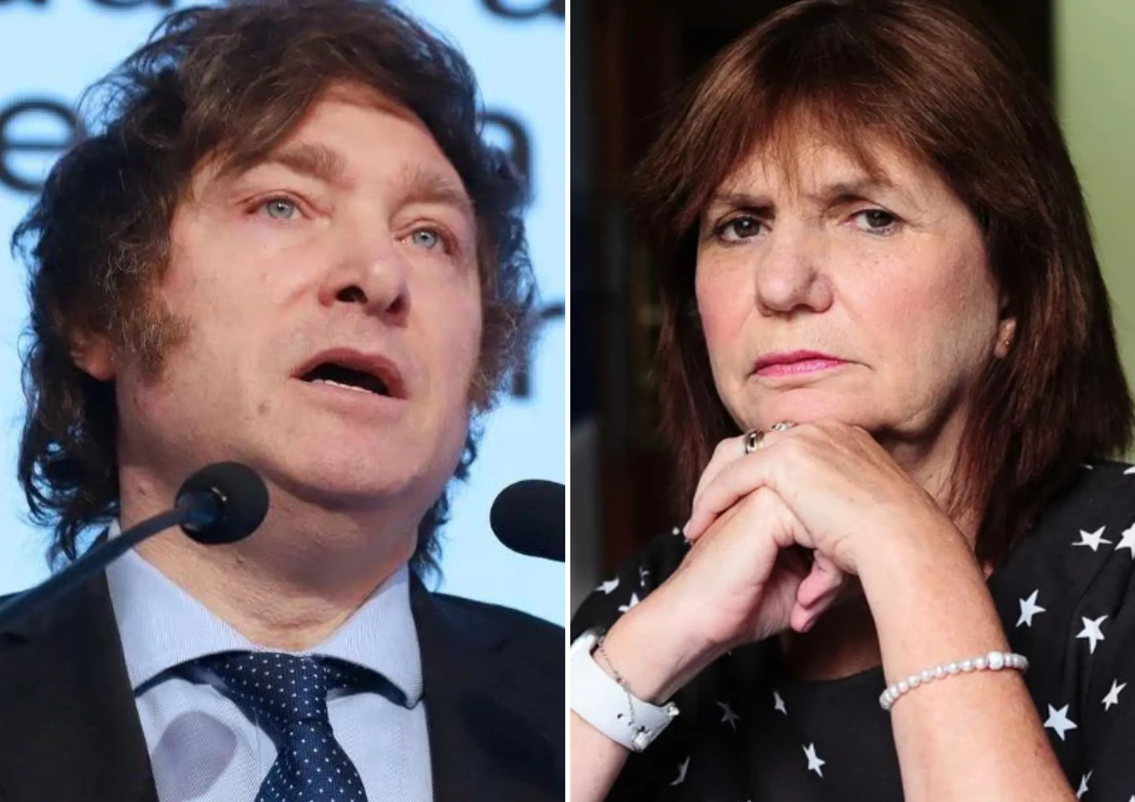 Javuer Milei y Patricia Bullrich