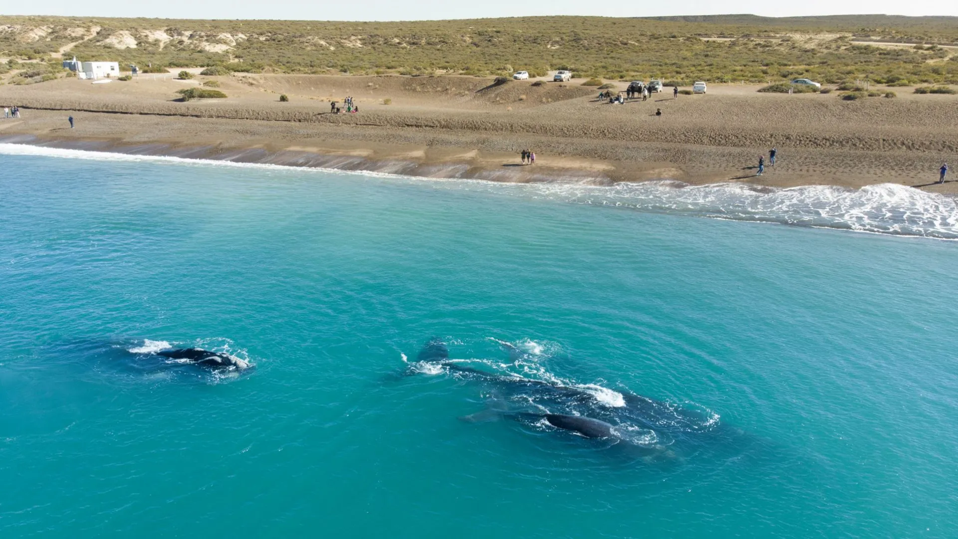 Chubut y Santa Cruz fueron elegidos por Natgeo dentro de los 5 destinos turísticos más importantes del mundo