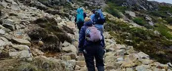 Operativo de búsqueda de la turista de Estados Unidos
