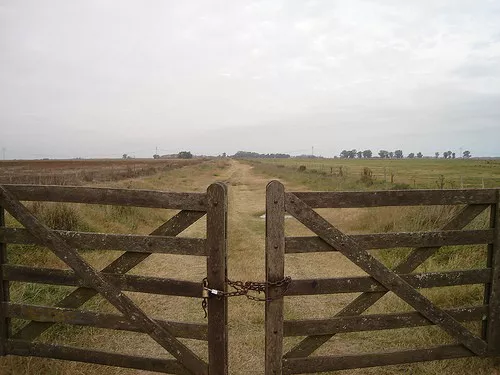 PREOCUPAN LOS ROBOS EN CAMPOS DE LA ZONA