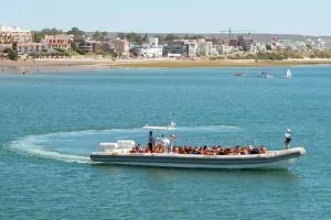 MADRYN