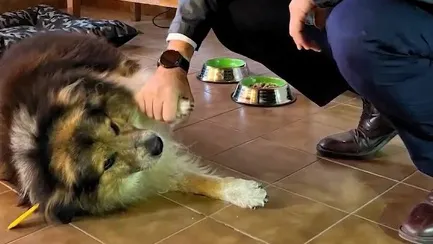 368711_crop_184018_lg