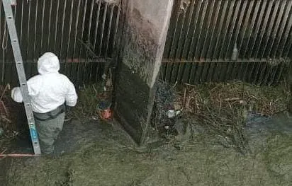 Imagen de WhatsApp 2024-05-13 a las 10.59.47_abb6f9a6