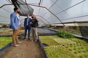Visita a productor hidropónico
