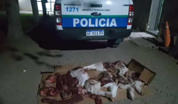 Carne de guanaco y armas secuestradas 1