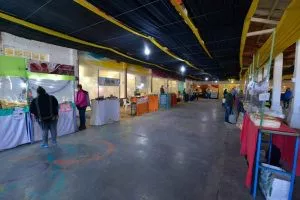 FERIAS EN TRELEW CON CONTROLES SANITARIOS