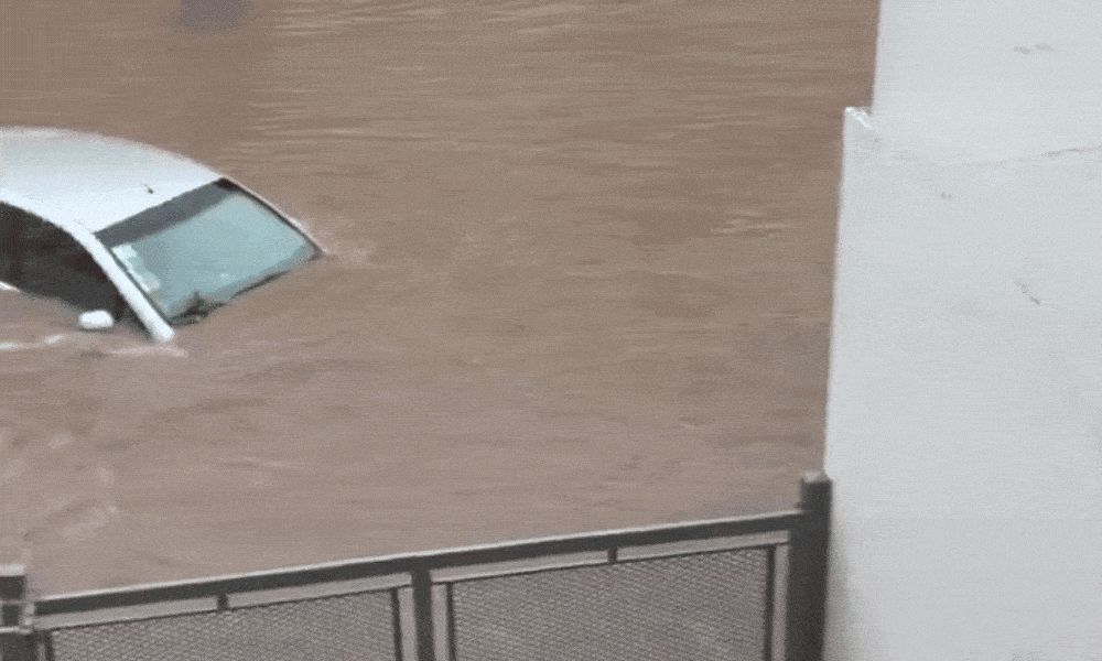 Gif Bahía Blanca (1)