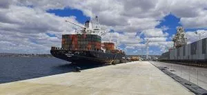 GIGANTE PORTA CONTENEDORES