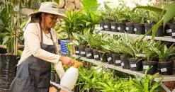 Control de plagas jardines