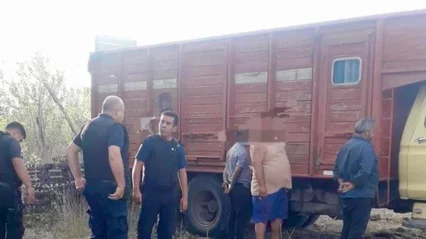 Preventiva para ladrones de terneros