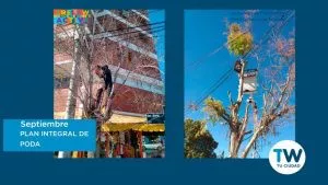 TRELEW CONCIENCIA ACTIVA