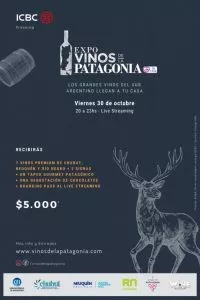 Expo Vinos de la Patagonia 2020