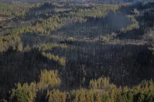INCENDIOS
