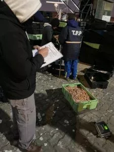 DNCyCP LOGRA FISCALIZAR EL 99% DE LAS DESCARGAS DE LANGOSTINO