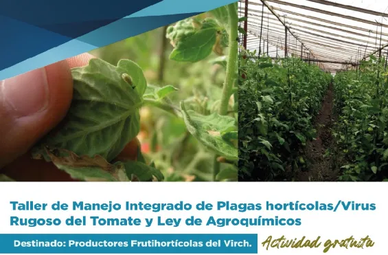 Taller para Productores