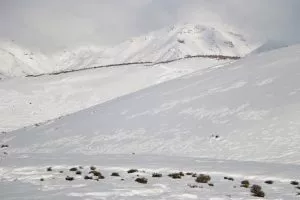 Emergencia Climática