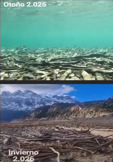 Embalse Amutui Quimey