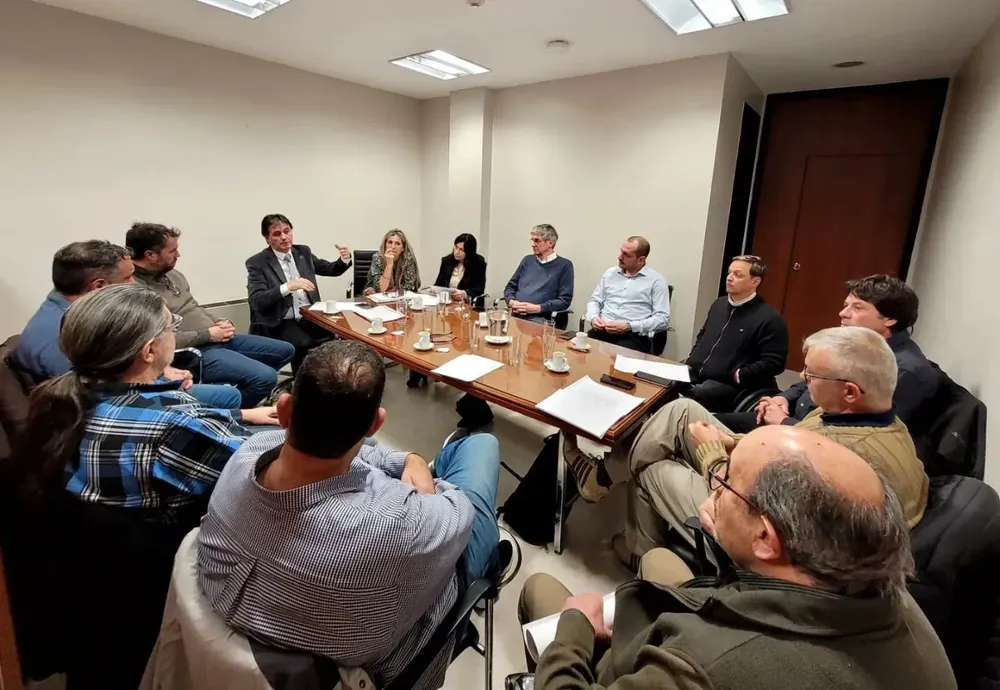 emergencia economica