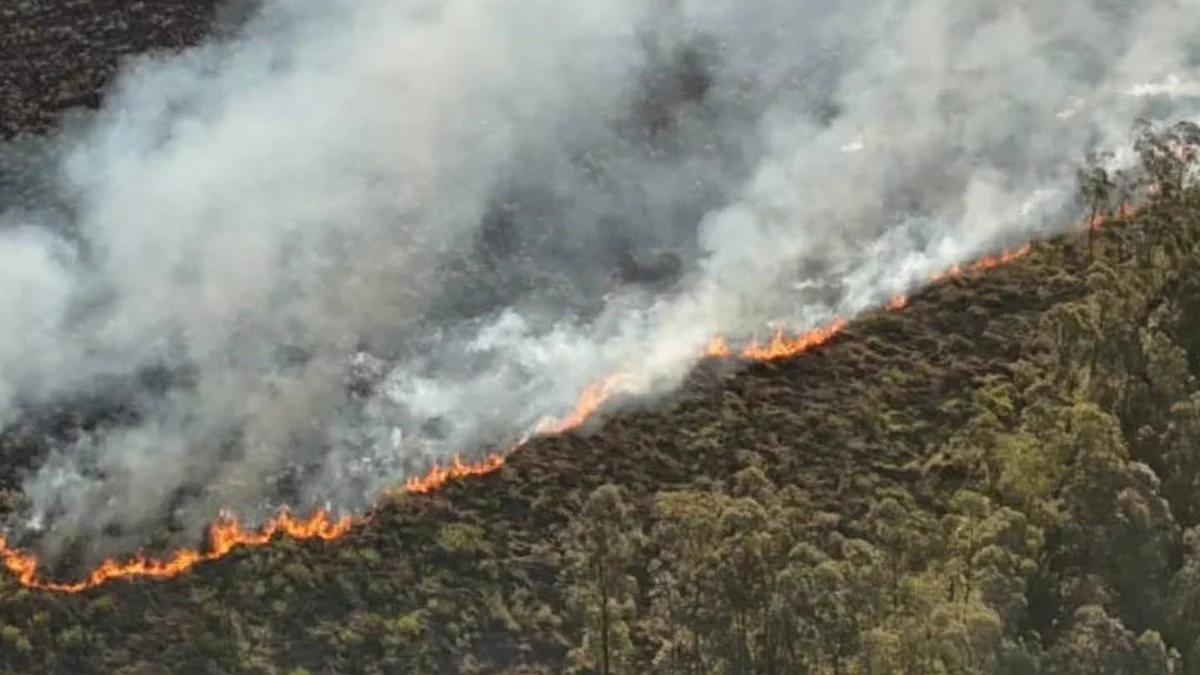 Incendio forestal en Misiones
